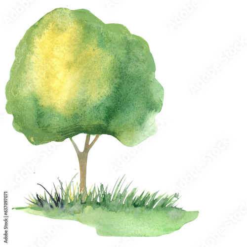hand-drawn watercolor sketch for landscape design, tree grass bushes, plants, elements for garden decoration,