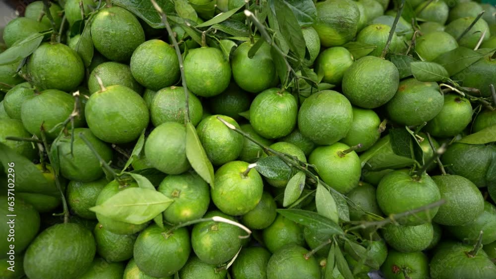 Fresh sweet lemons in market. Organic mosambi fruit Fresh sweet lemons in market. Organic mosambi fruit
