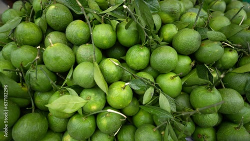Fresh sweet lemons in market. Organic mosambi fruit photo