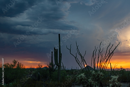 Sonoran desert monsoon storm at sunset