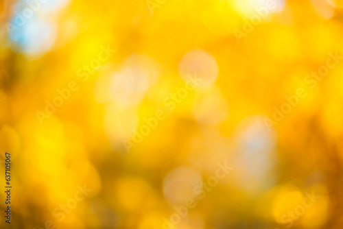 Golden blurred natural autumn background