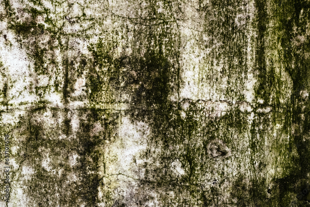 Fototapeta premium mildewed wall background