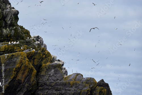 Fotografie Skellig Michael Monastery (Skellig Michael: Home of Luke Skywalker in Star Wars)