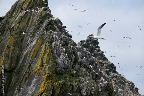 Fotografie Skellig Michael Monastery (Skellig Michael: Home of Luke Skywalker in Star Wars)