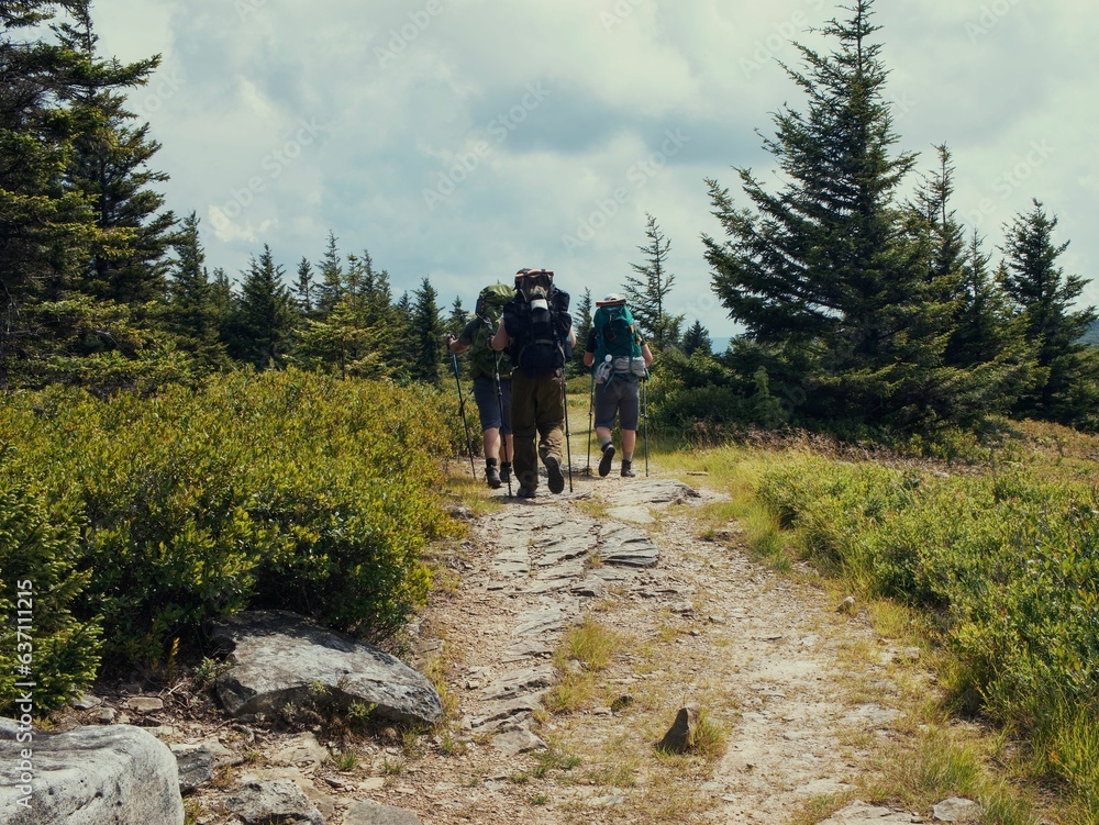 Group of hikers trekking through a rocky dirt path in Dolly Sods, West Virginia Group of hikers trekking through a rocky dirt path in Dolly Sods, West Virginia