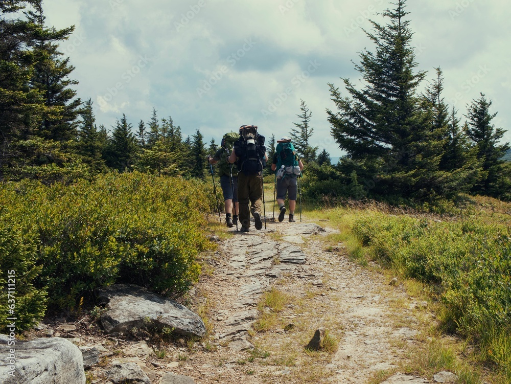 Group of hikers trekking through a rocky dirt path in Dolly Sods, West Virginia