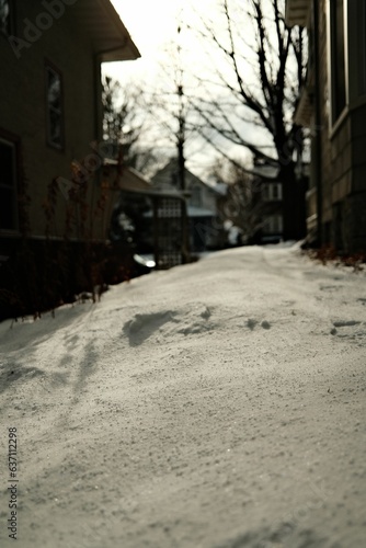 Vertical shot of the snow on the ground © Ben Brewer/Wirestock Creators