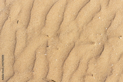 Close-up of a golden sand near the beach on a sunny day