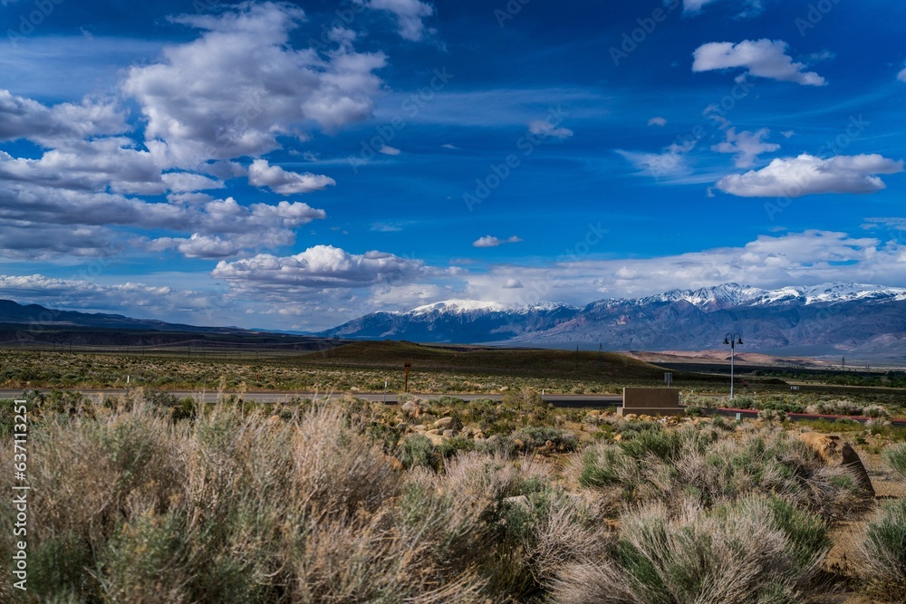 Scenic view of snow-capped Sierra Nevada mountains in distance with prairie brush in foreground