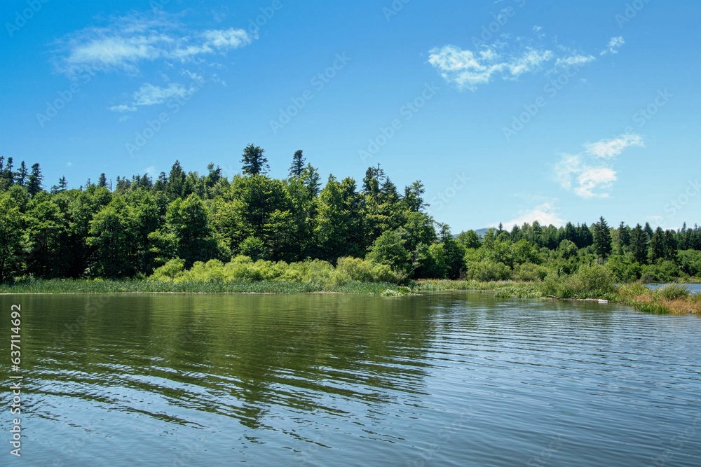 Tranquil lake surrounded by a lush, wooded area.
