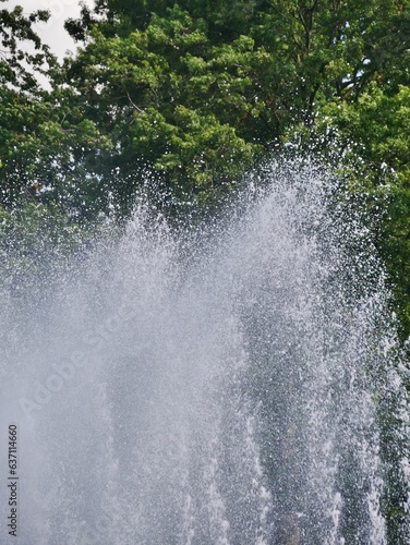 Wallpaper Mural Wasserspiele in Planten un Blomen im Sonnenlicht Torontodigital.ca