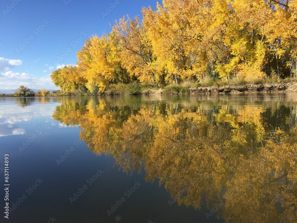 Fototapeta premium Tranquil lake illuminated by the golden hues of the yellow trees on a sun-filled day