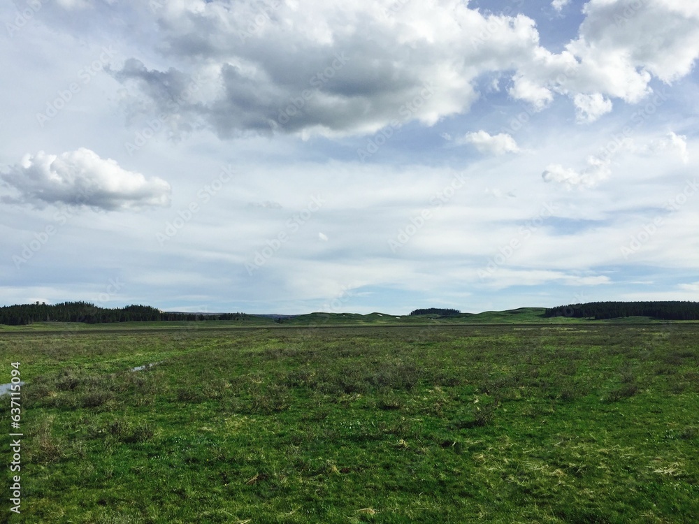 Stunning view of a prairie landscape with a mountain range in the background