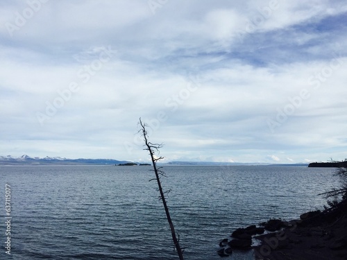 Scenic view of alpine mountains and a tranquil lake with a single tree in the foreground