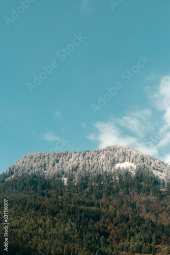 Snowy Himachal mountains and forest