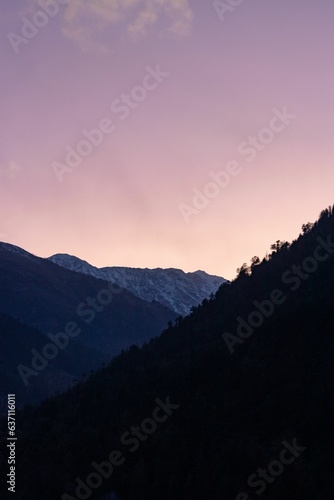 Vertical shot of the beautiful landscapes of Himachal Pradesh, India, at sunset