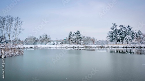 Picturesque winter scene of a lake, surrounded by a variety of trees on its shoreline
