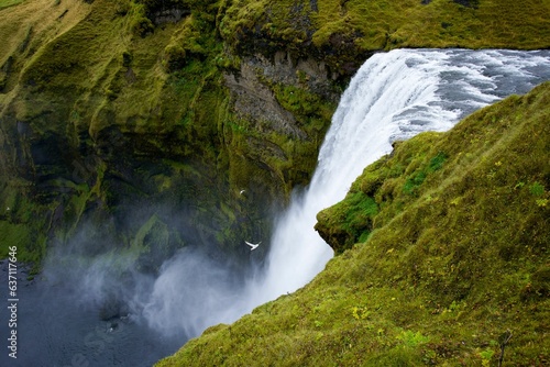 Skogafoss Waterfall surrounded by greenery in Iceland