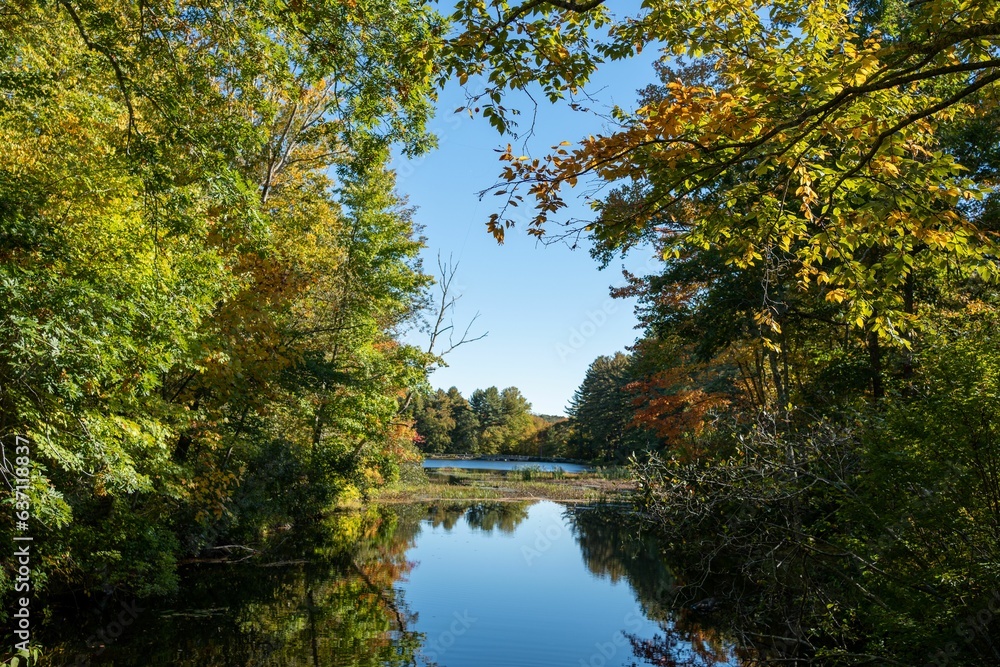 Scenic view of the trees in autumn foliage reflected in the water