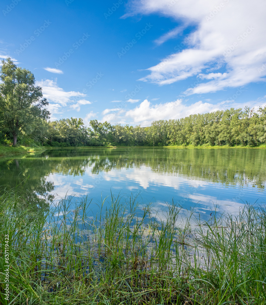 Green landscape and pond in Germany. Green landscape and pond in Germany.