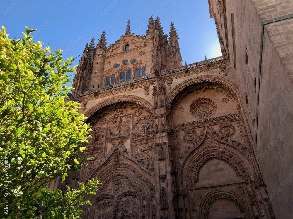 Low angle shot of the New Cathedral of Salamanca, Spain