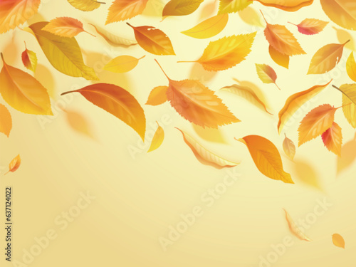 Realistic autumn wind. Flying falling gold leaves, fly flow forest golden dry leafs to ground, isolated yellow fall leaf, september winds environment 3d exact vector illustration