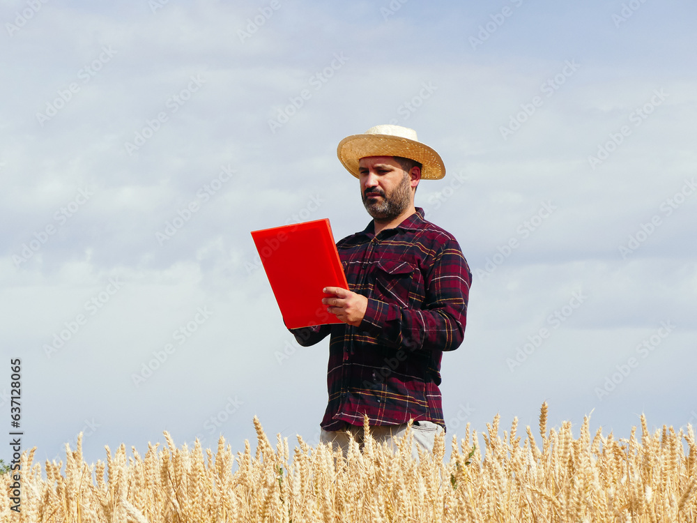 Farmer man in a wheat field examining the crop and writing down in a notebook Farmer man in a wheat field examining the crop and writing down in a notebook