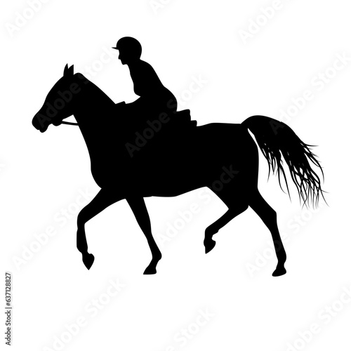 Silhouette of a person riding a horse
