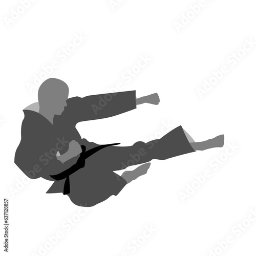 Vector graphic of a person in a dobok doing a jump kick