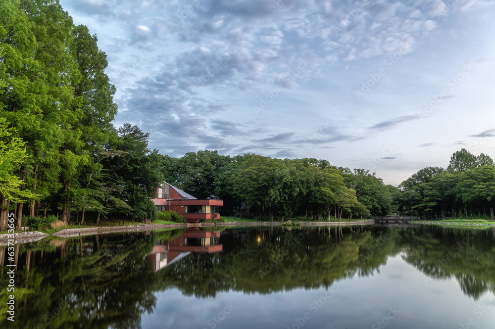 Obraz premium 茨城県つくば市 夏の洞峰公園の朝