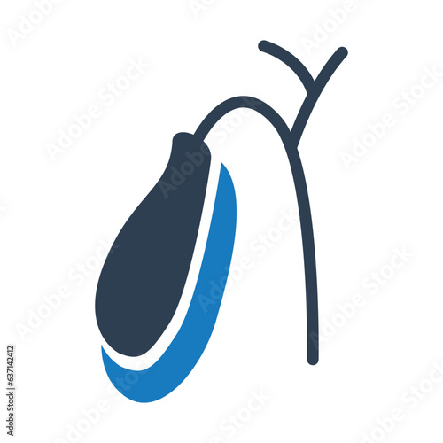 Human Internal Organ gallbladder icon isolated on white background. Vector Icon for Medical apps and web.
