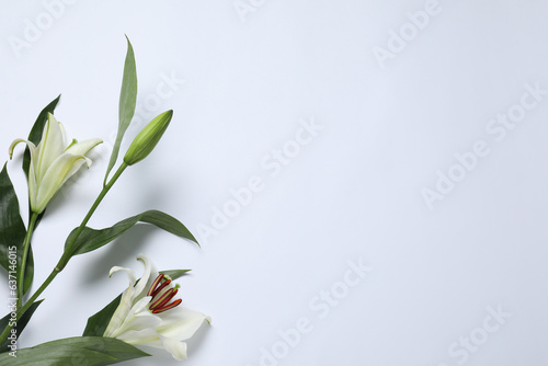 Beautiful lilies on white background  top view with space for text. Funeral symbol