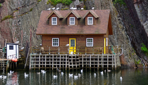 Quidi Vidi photo