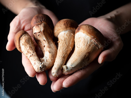 mushrooms in a hand, pine mushrooms 