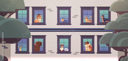 Happy national dog day greeting card various cute doggy looking out of apartment windows holiday of domestic animals