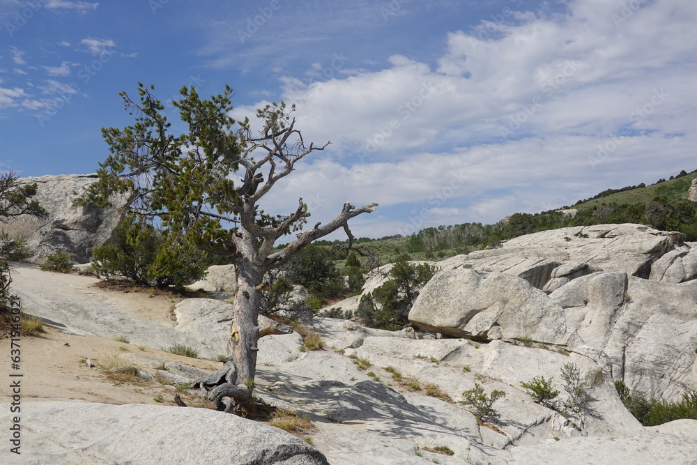 City of Rocks National Reserve - Almo, ID City of Rocks National Reserve - Almo, ID