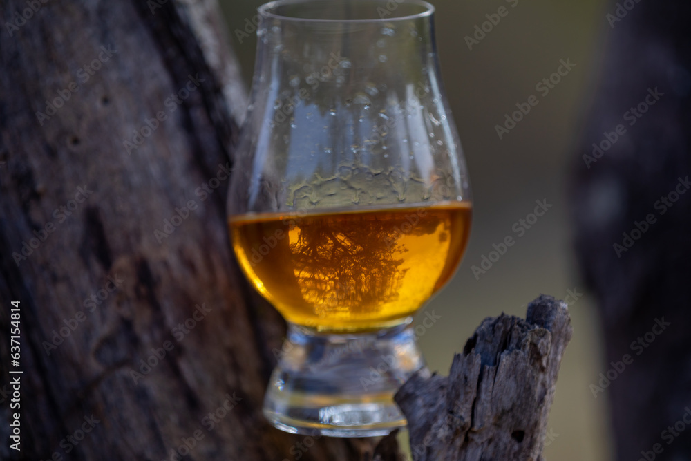 Traditional Single malt Scotch whiskey in the Glencairn glass in selective focus. Traditional Single malt Scotch whiskey in the Glencairn glass in selective focus.