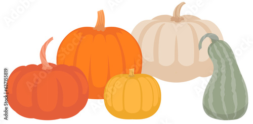 Pumpkins — vector illustration of pumpkins in multiple colors