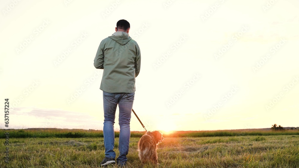 Man holds leash walking ginger cocker spaniel dog on mown field at sunset