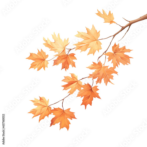 Maple leaves attached to a tree branch