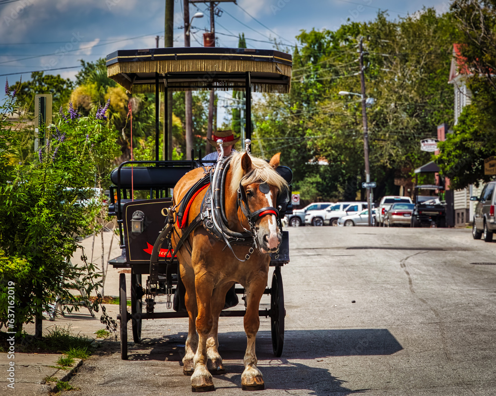 Fototapeta premium The beautiful city of Charleston SC