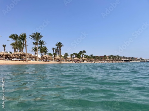 beach with palm trees