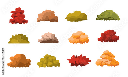 Autumn or fall bush landscape illustration set, bushes isolated on white background - Vector