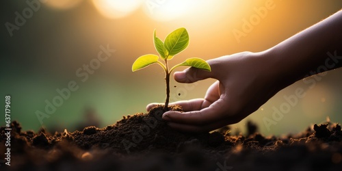 close up hand holding seed growing plant