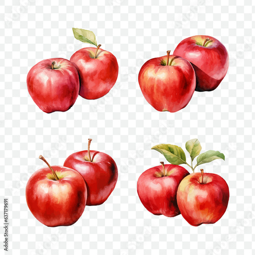 Apple fruit in watercolor drawing style