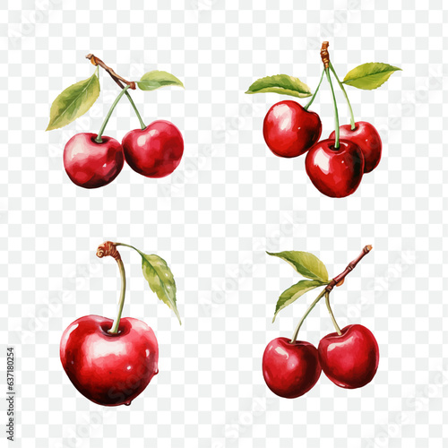 Cherry fruit in watercolor drawing style