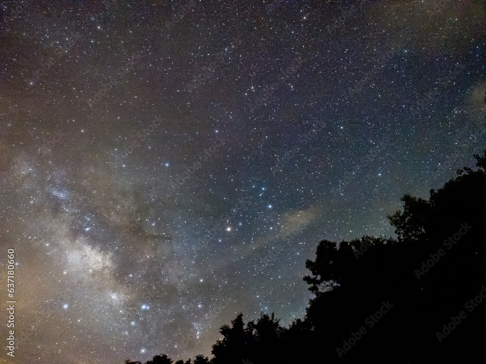 Blue dark night sky with many stars above field of trees. Blue dark night sky with many stars above field of trees.