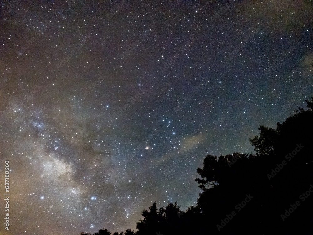 Blue dark night sky with many stars above field of trees.