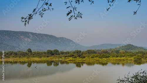 A calm lake in the jungle. Thickets of trees and bushes on the shore. Mountains in the distance. Green branches against a clear blue sky. India. Sariska National Park.