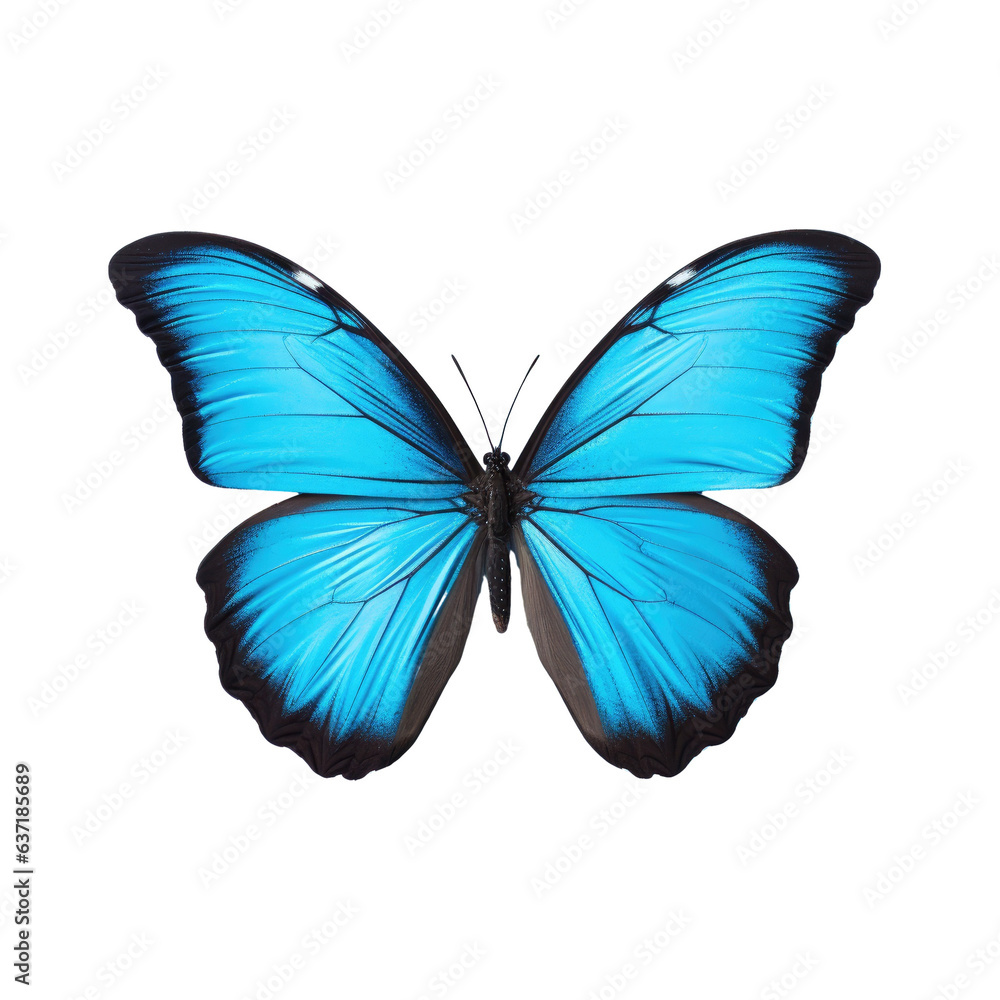 Obraz premium transparent background with solitary blue butterfly
